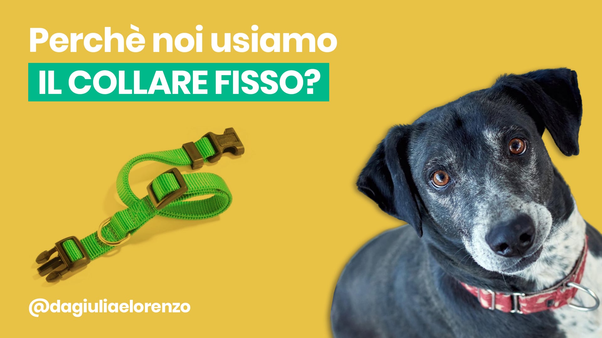 ragazza con lente e cane