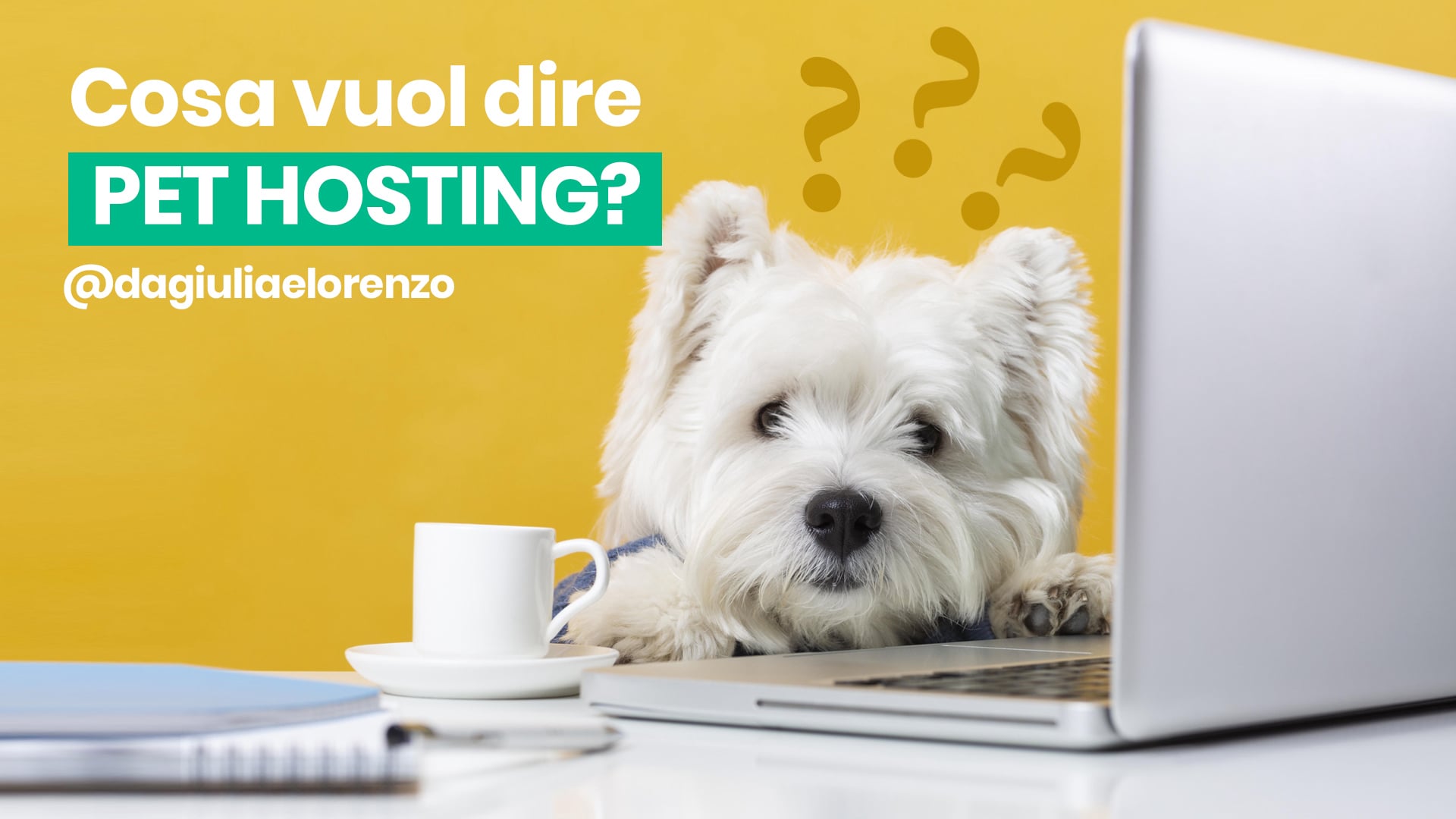 cane che si chiede cosa vuol dire pet hosting