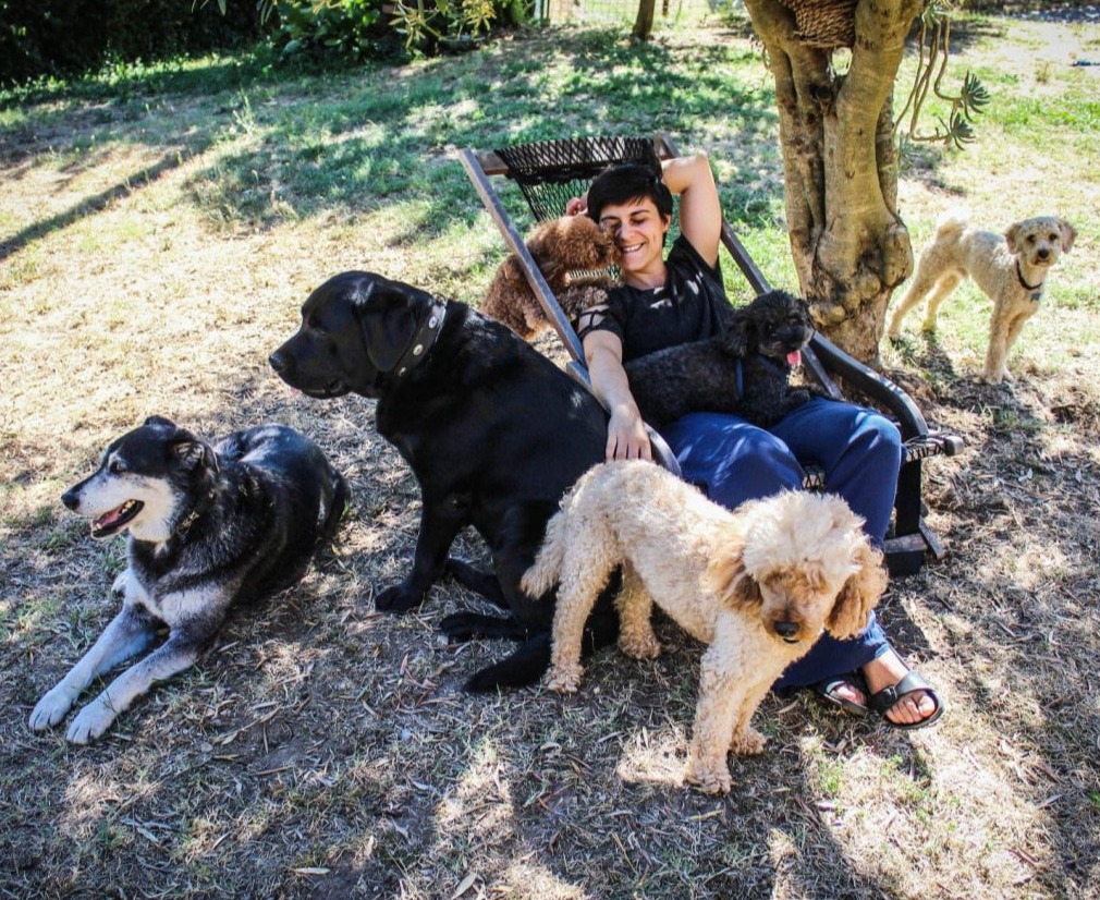 pensione per animali da giulia e lorenzo