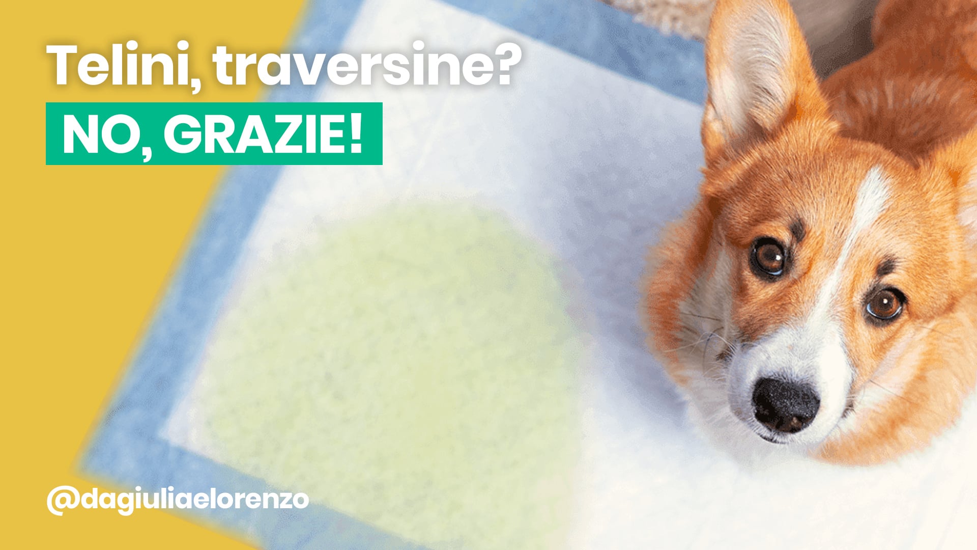 ragazza con lente e cane